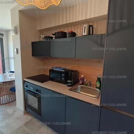 Apartment 4arap04 - Standing Vue Collioure